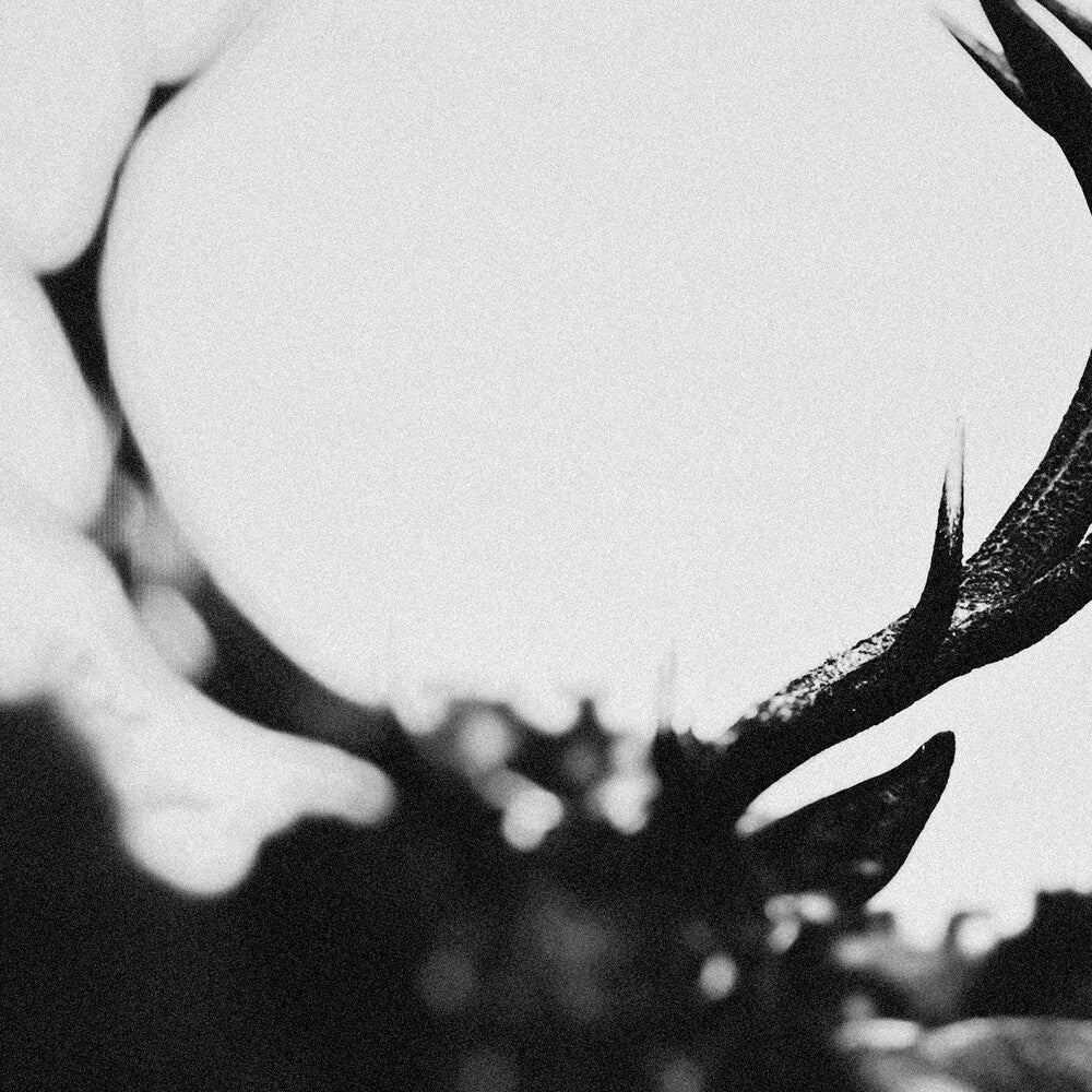 Ihsahn - Ihsahn (Orchestral Version) (W/Book) [CD]