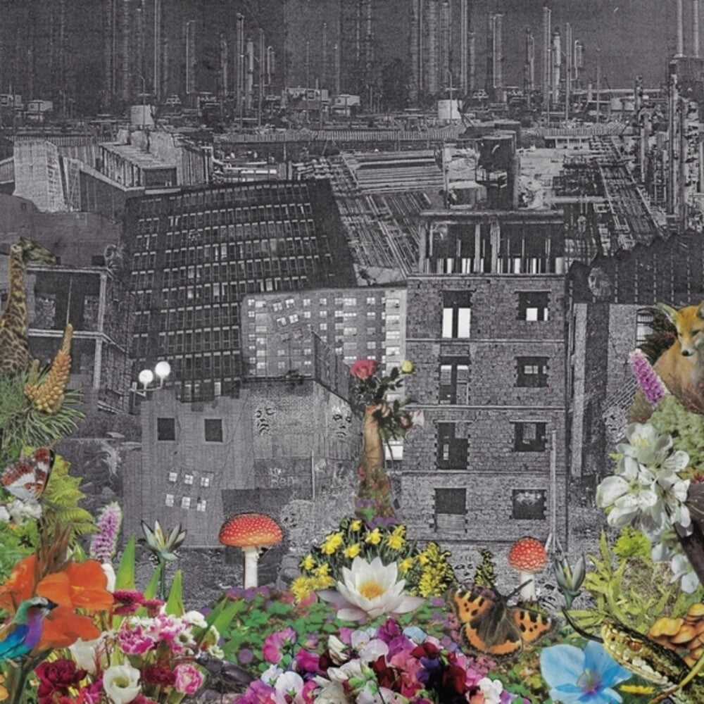 Bloody Head - Perpetual Eden (Can) [LP] Vinyl Record