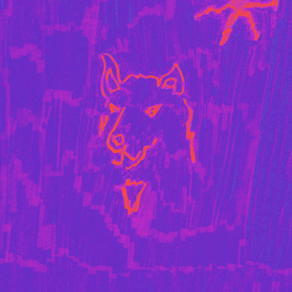 Dehd - Poetry Music CD