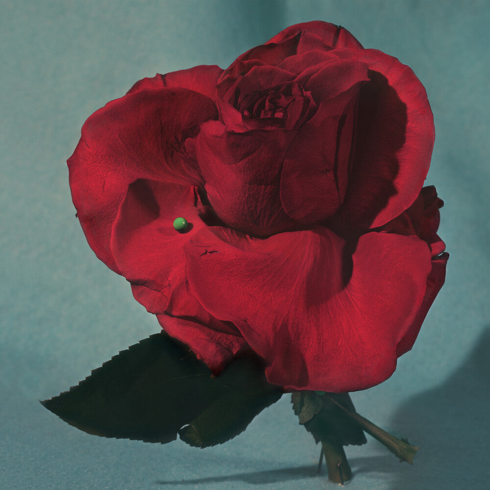 METZ - Up On Gravity Hill Music CD