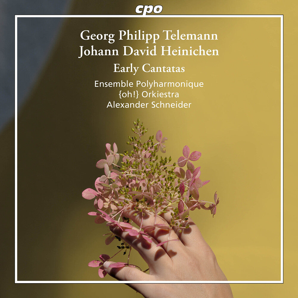 Heinichen / Telemann / Ensemble Polyharmonique - Early Cantatas [CD]