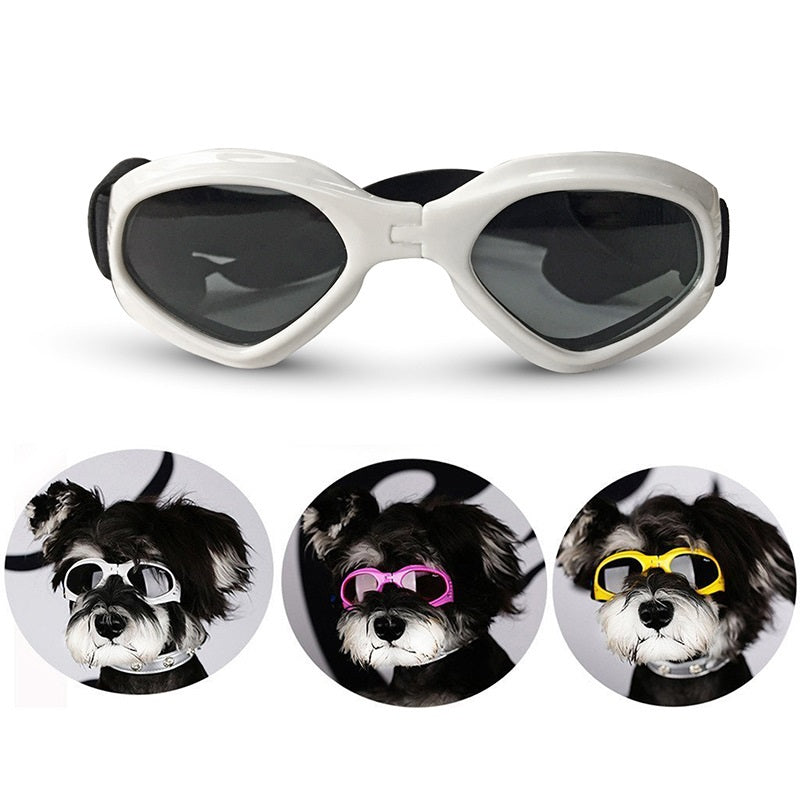 Dog goggles sunglasses cool accessories