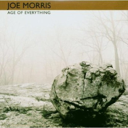 Joe Morris Trio - Age of Everything [CD]