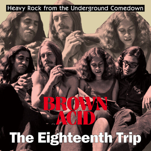 Brown Acid - The Eighteenth Trip / Various - Brown Acid - The Eighteenth Trip / Various - Vinyl Record