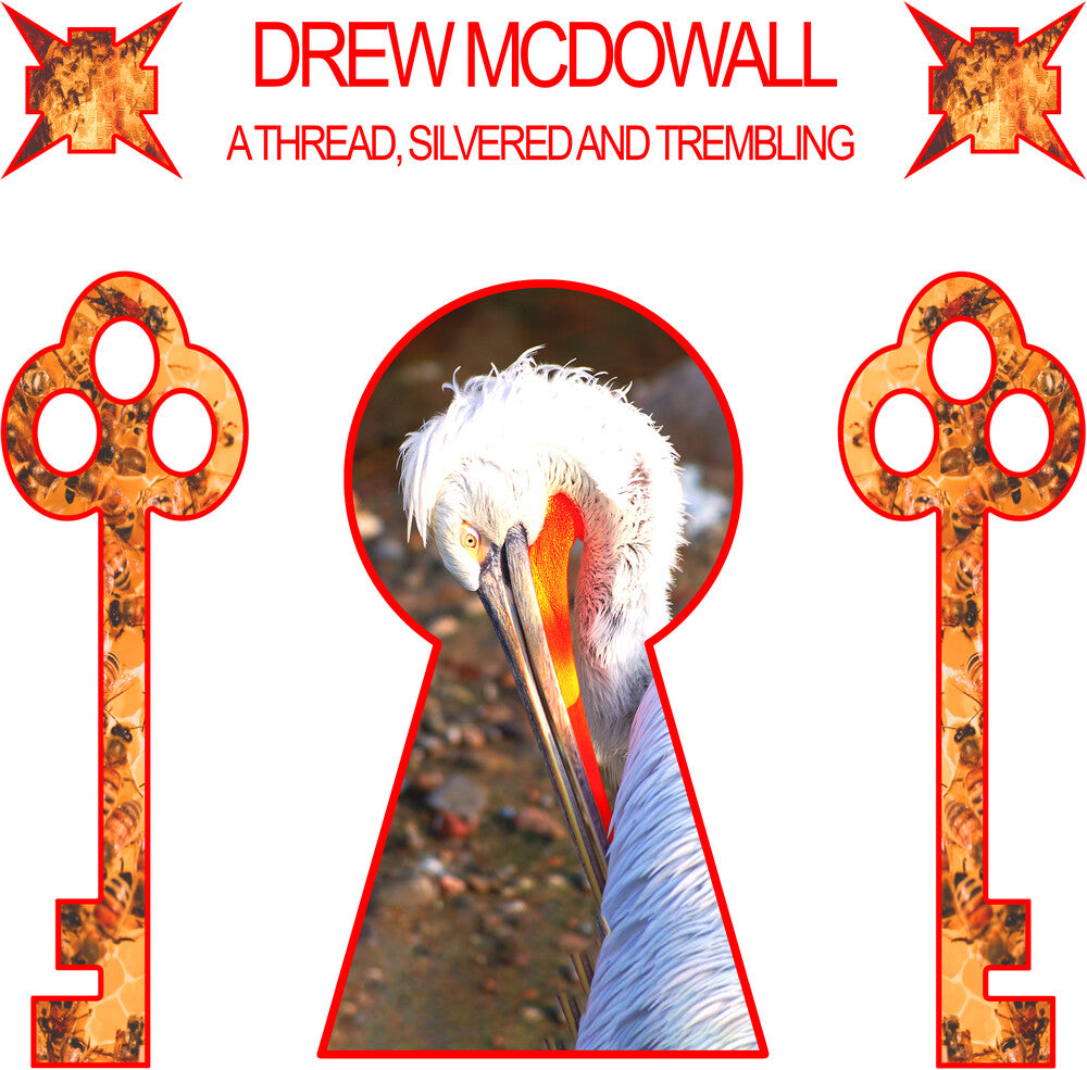 Drew McDowall - Thread, Silvered And Trembling [LP] Vinyl Record