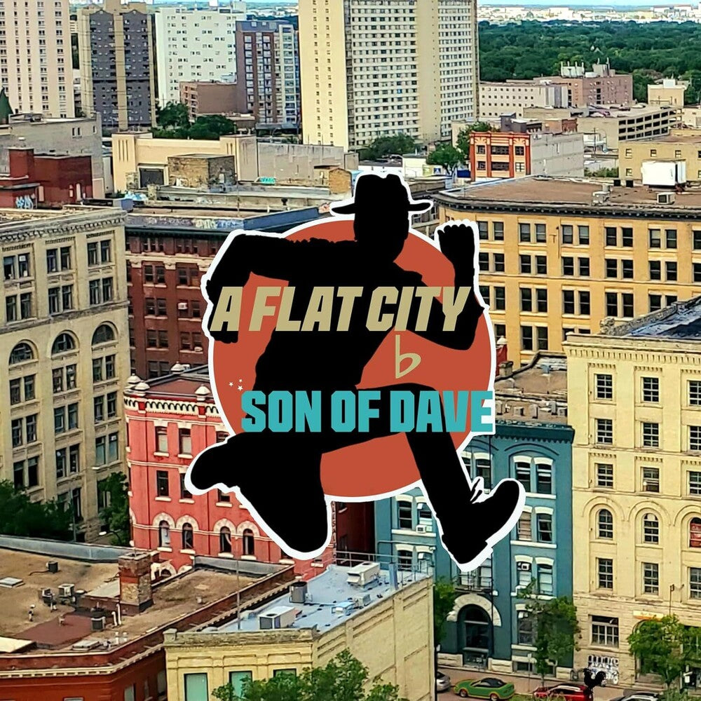 Son Of Dave - Flat City [LP] Vinyl Record