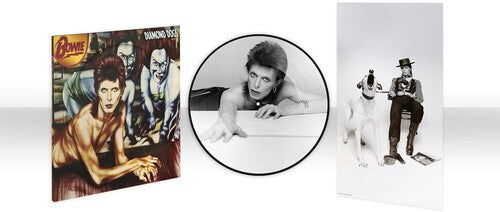 Bowie,david - Diamond Dogs (50th Anniversary Picture Disc) - Vinyl Record