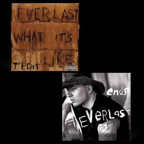 Everlast - What It's Like/ends - Vinyl Record