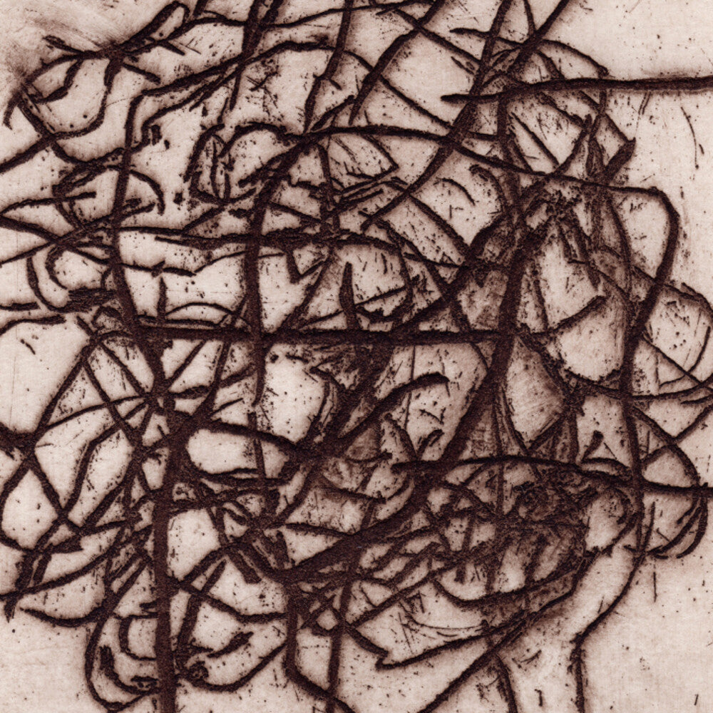 K Leimer . / Barreca,Marc - Arrhythmian [LP] Vinyl Record