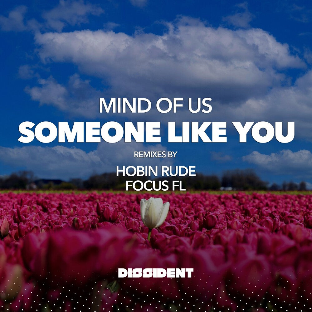 Mind Of Us - Someone Like You (Streaming Version) (Mod) [CD]