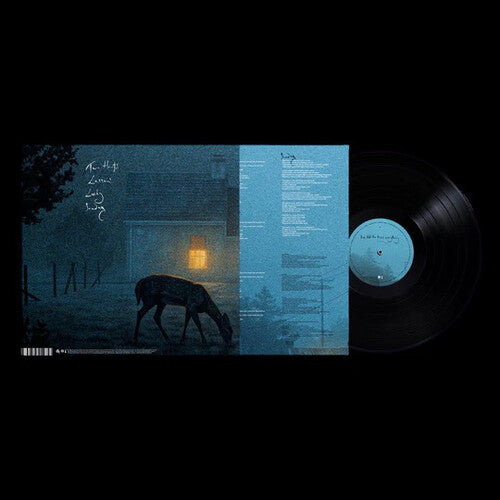 Kennedy,dermot - I've Told The Trees Everything - Vinyl Record