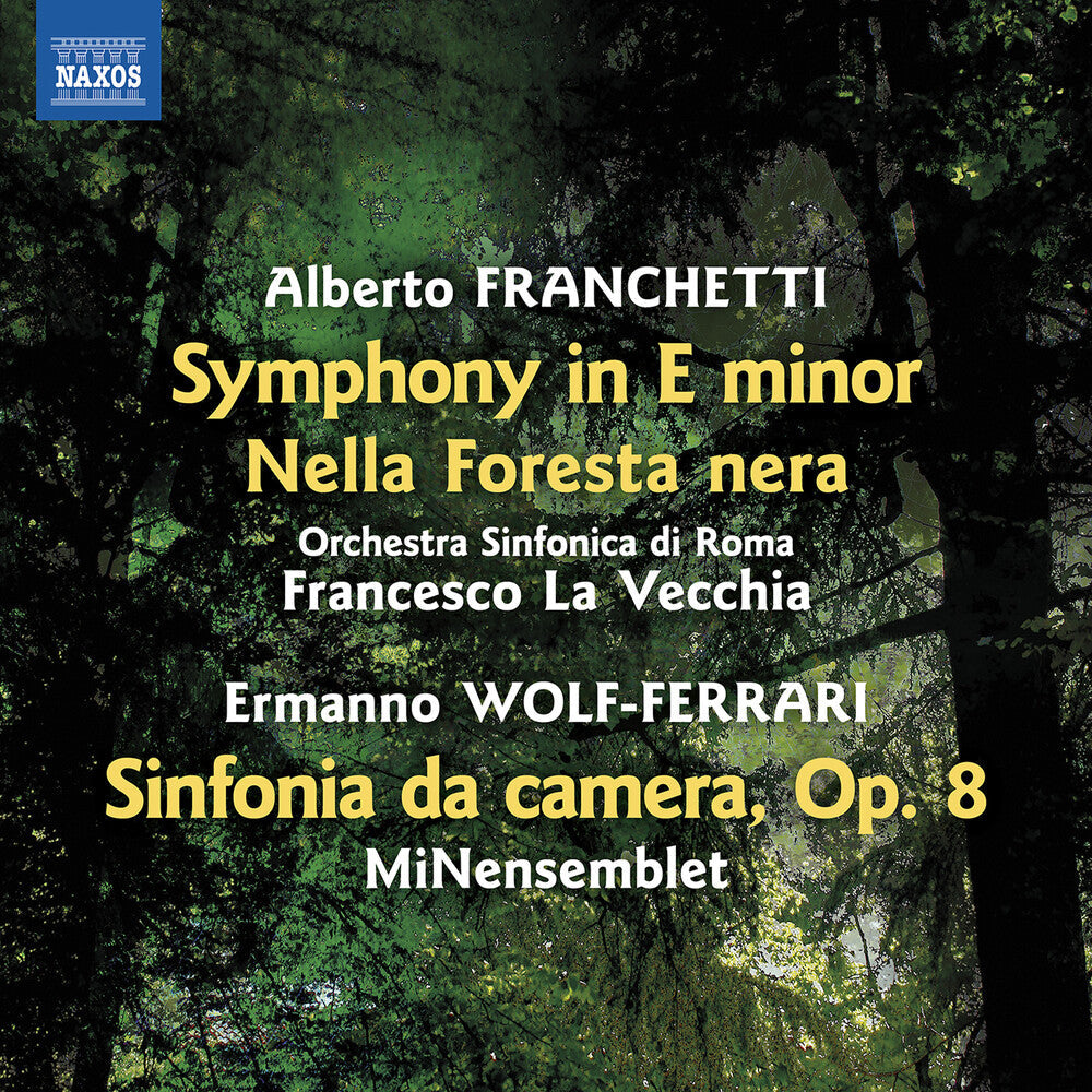 Franchetti / Orchestra Sinfonica Di Roma - Symphony In E Minor Nella Foresta Nera [CD]