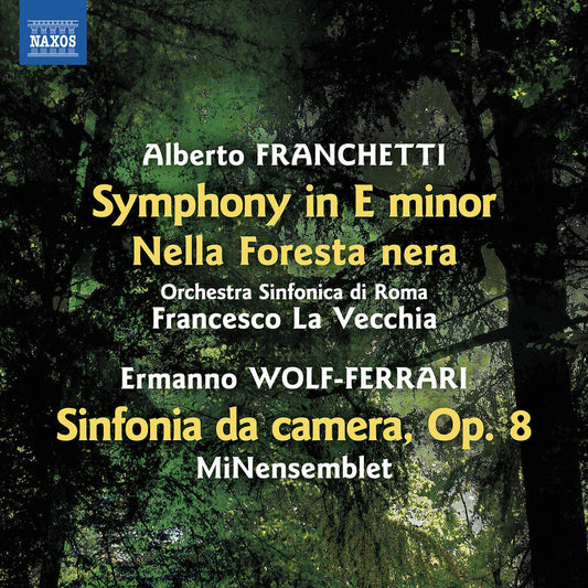 Franchetti / Orchestra Sinfonica Di Roma - Symphony In E Minor Nella Foresta Nera [CD]
