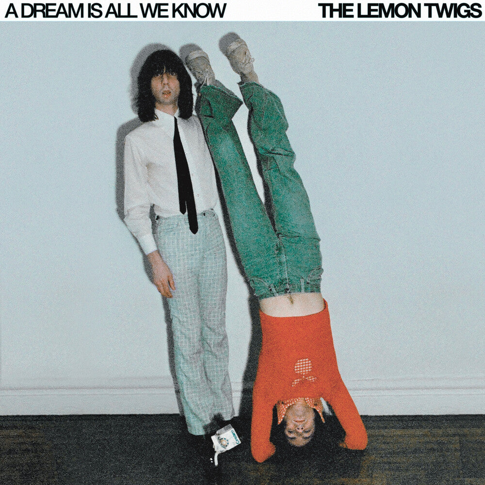Lemon Twigs - Dream Is All We Know [LP] Vinyl Record