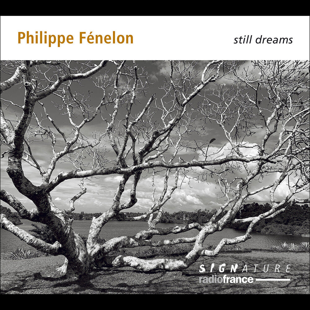 Fenelon / Jodelet / Beltrando - Still Dreams Music CD