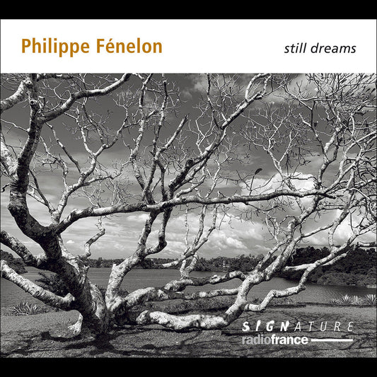 Fenelon / Jodelet / Beltrando - Still Dreams Music CD