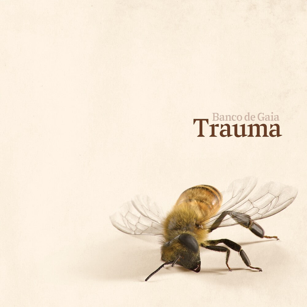 Banco De Gaia - Trauma Music CD