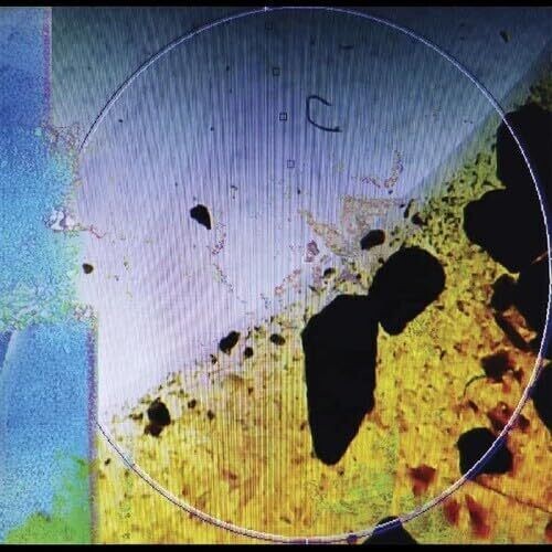 Dreamtx - Living In Memory Of Something Sweet - Vinyl Record