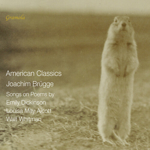 Brugge / Loy / Kranjc / Dinglinger - American Classics - Songs On Poems By Emily - Music CD