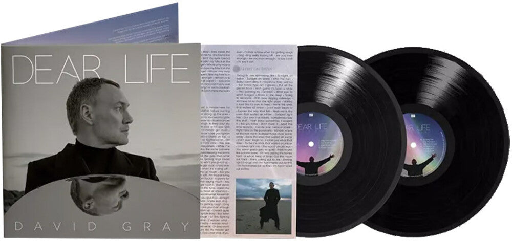 David Gray - Dear Life [LP] Vinyl Record