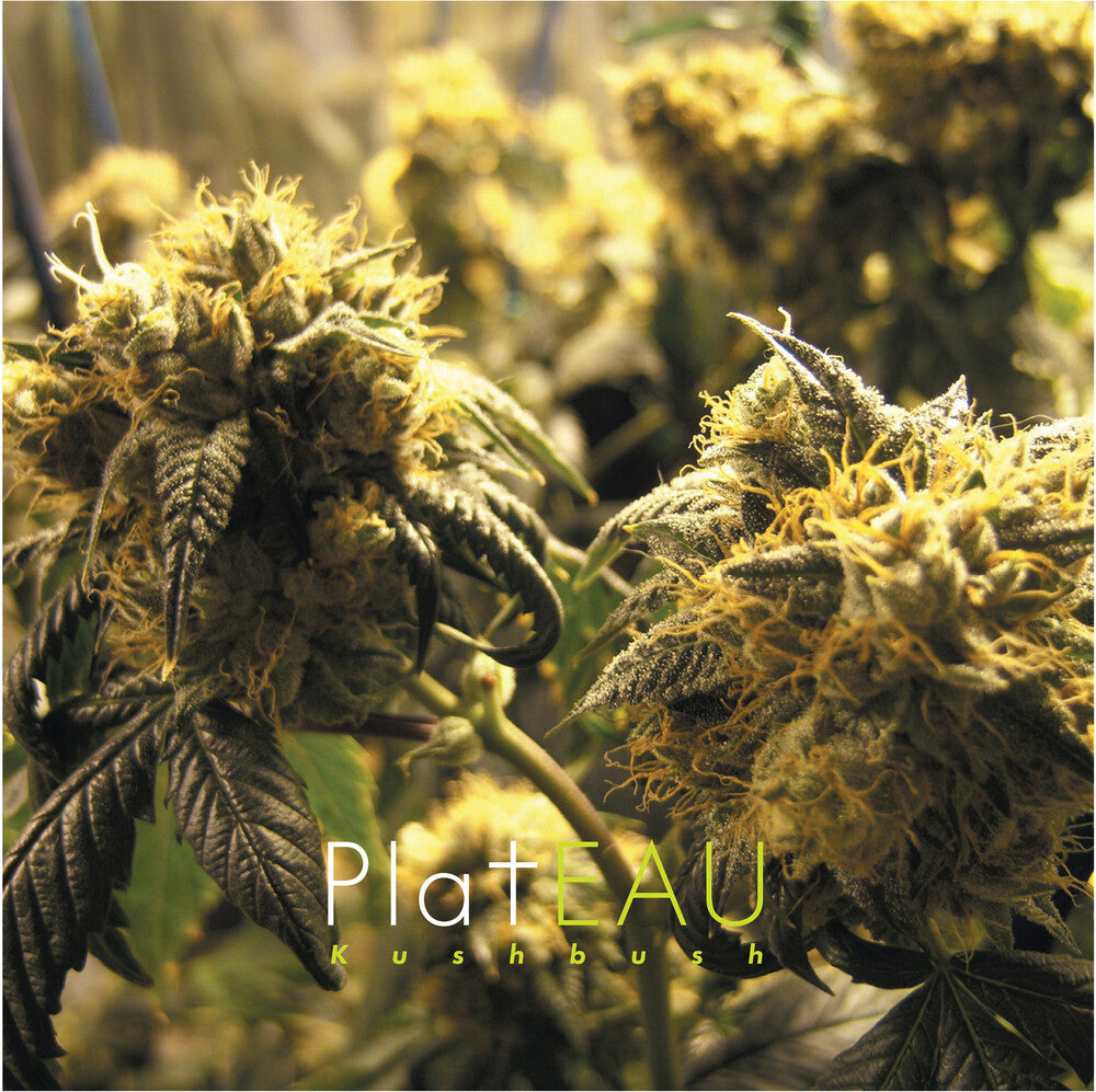 Kushbush [LP] Vinyl Record