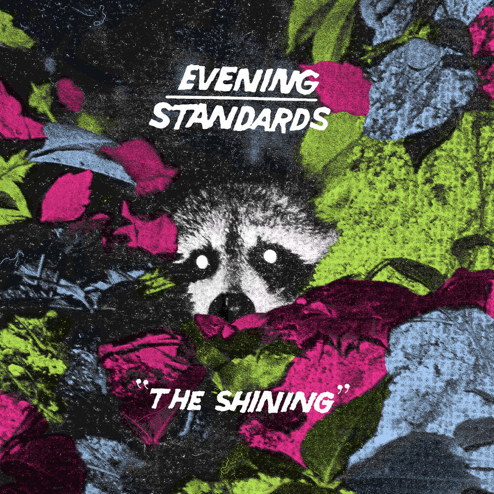 Evening Standards - Shining [LP] Vinyl Record