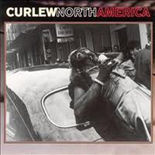 Curlew - North America Music CD
