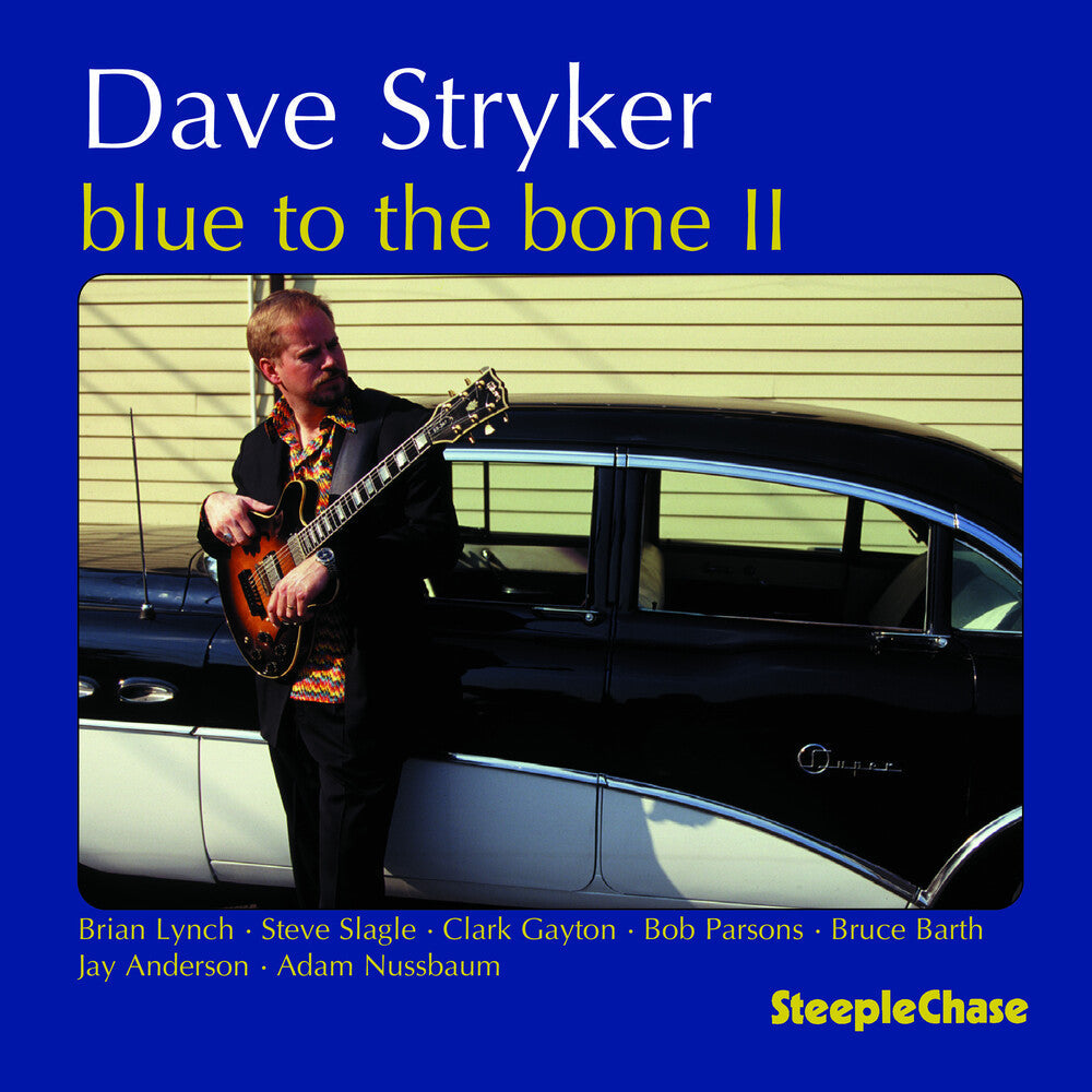 Dave Stryker - Blue to the Bone 2 [CD]