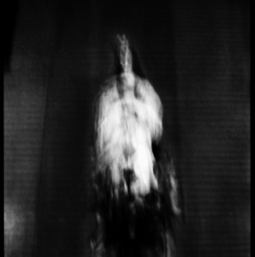 Cigno - Morte E Pianto Rituale (Uk) [LP] Vinyl Record