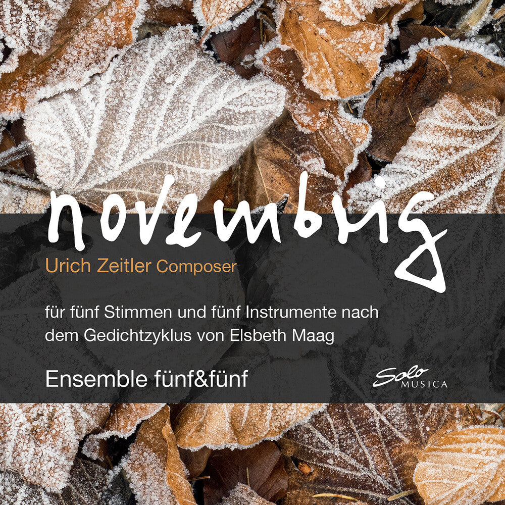 Zeitler / Gschwend / Zischg - Novembrig Music CD