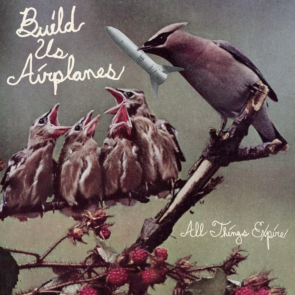 Build Us Airplanes - All Things Expire [LP] Vinyl Record