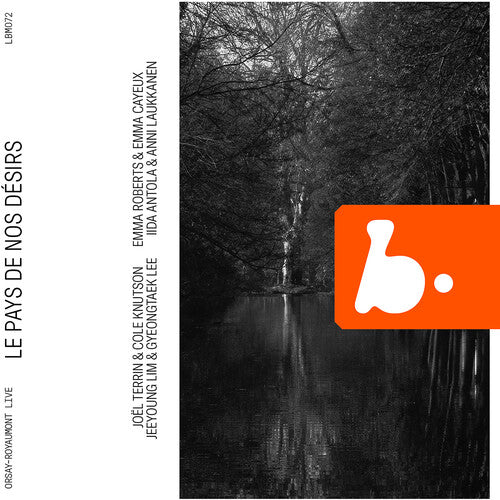 Laukkanen / Terrin / Knutson - Le Pays De Nos Desirs - Music CD