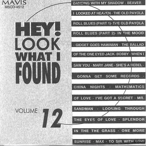 Hey Look What I Found Volume 12 / Various - Hey Look What I Found Volume 12 / Various - Music CD