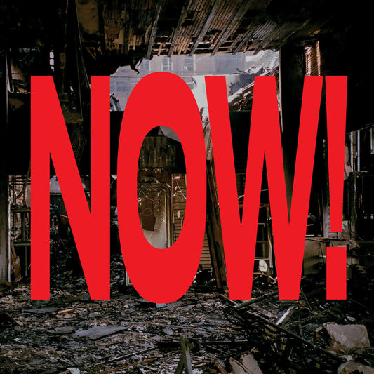 Marek Pospieszalski  / Amba,Zoh - Now [LP] Vinyl Record