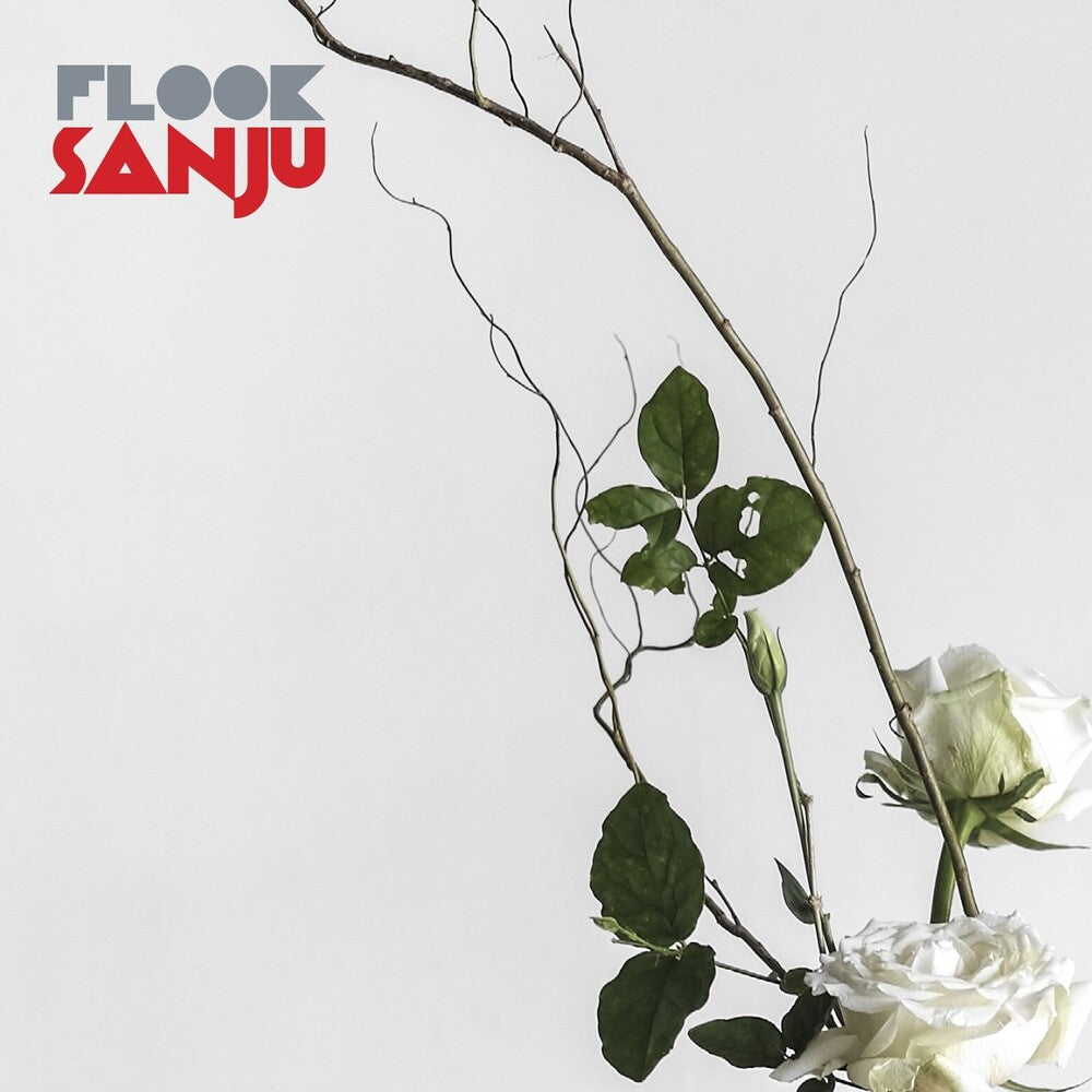 Flook - Sanju (Uk) [LP] Vinyl Record