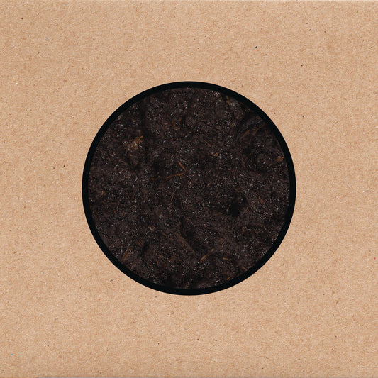 Swans - Birthing [CD]