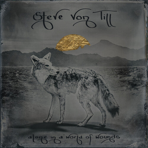 Von Till,steve - Alone In A World Of Wounds - Music CD