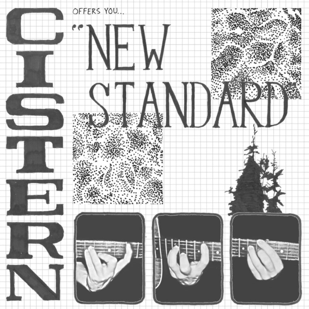 Cistern - New Standard [LP] Vinyl Record