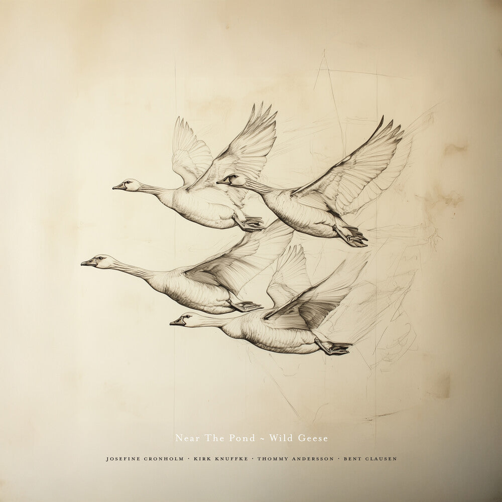 Near The Pond - Wild Geese [LP] Vinyl Record
