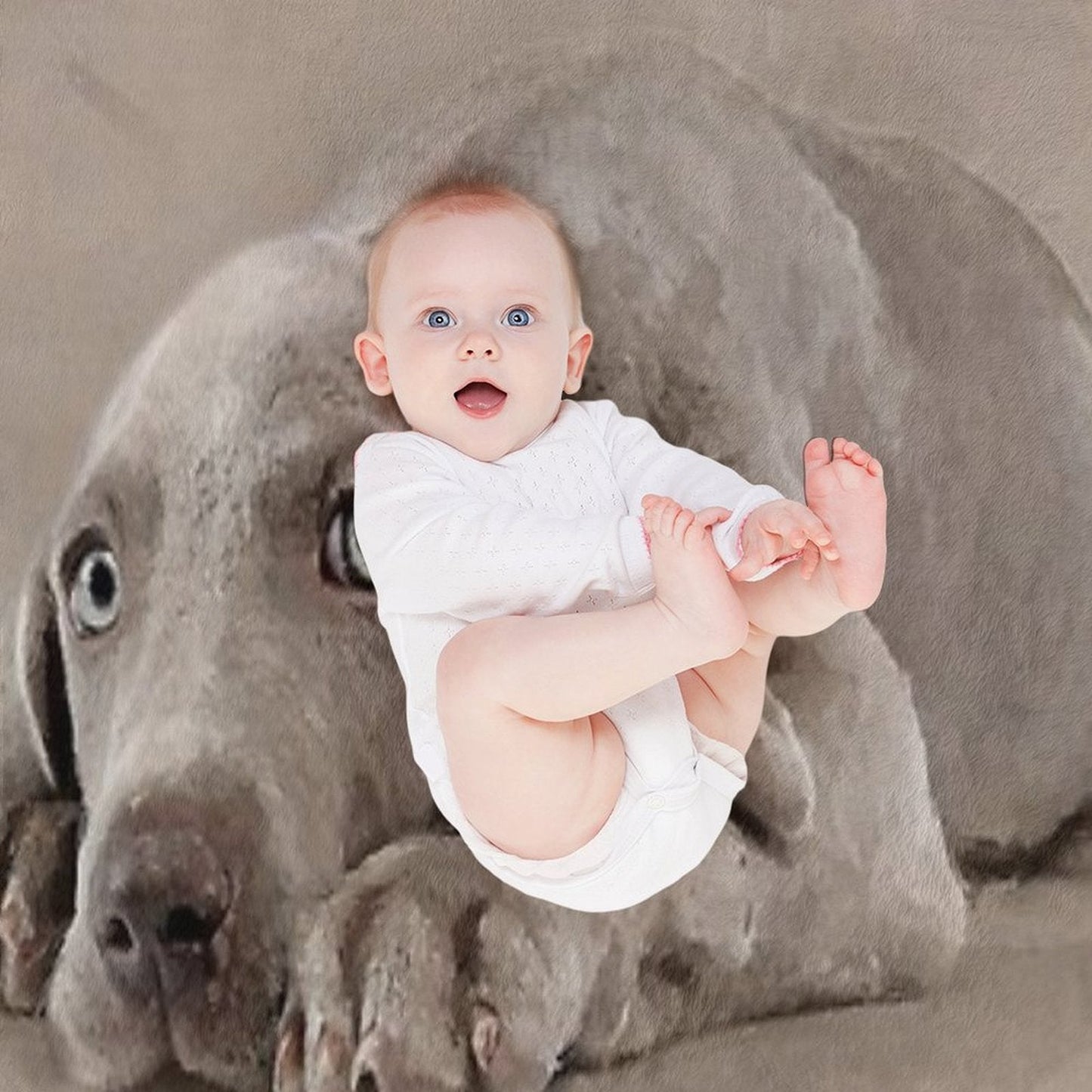 Weimaraner Puppy Throw Blanket