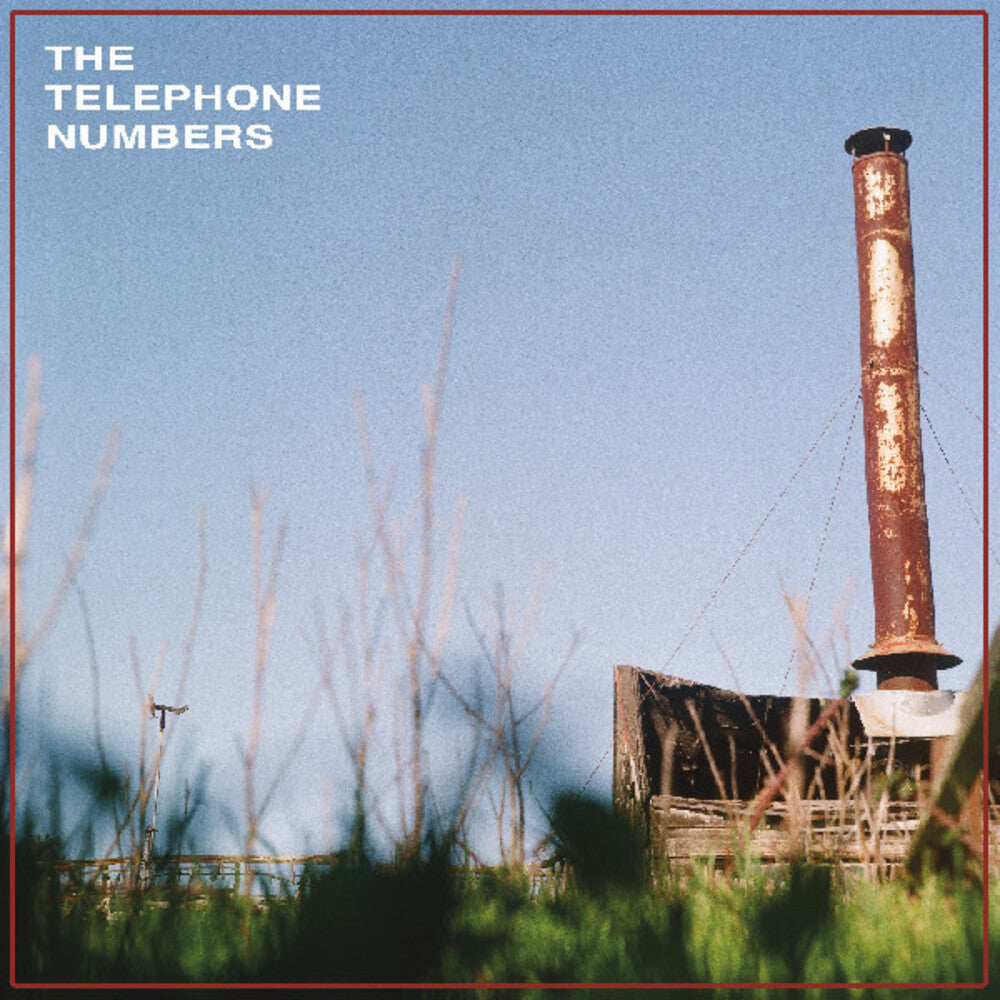 Telephone Numbers - Scarecrow Ii [Clear Vinyl] (Grn) [Download Included] Vinyl Record
