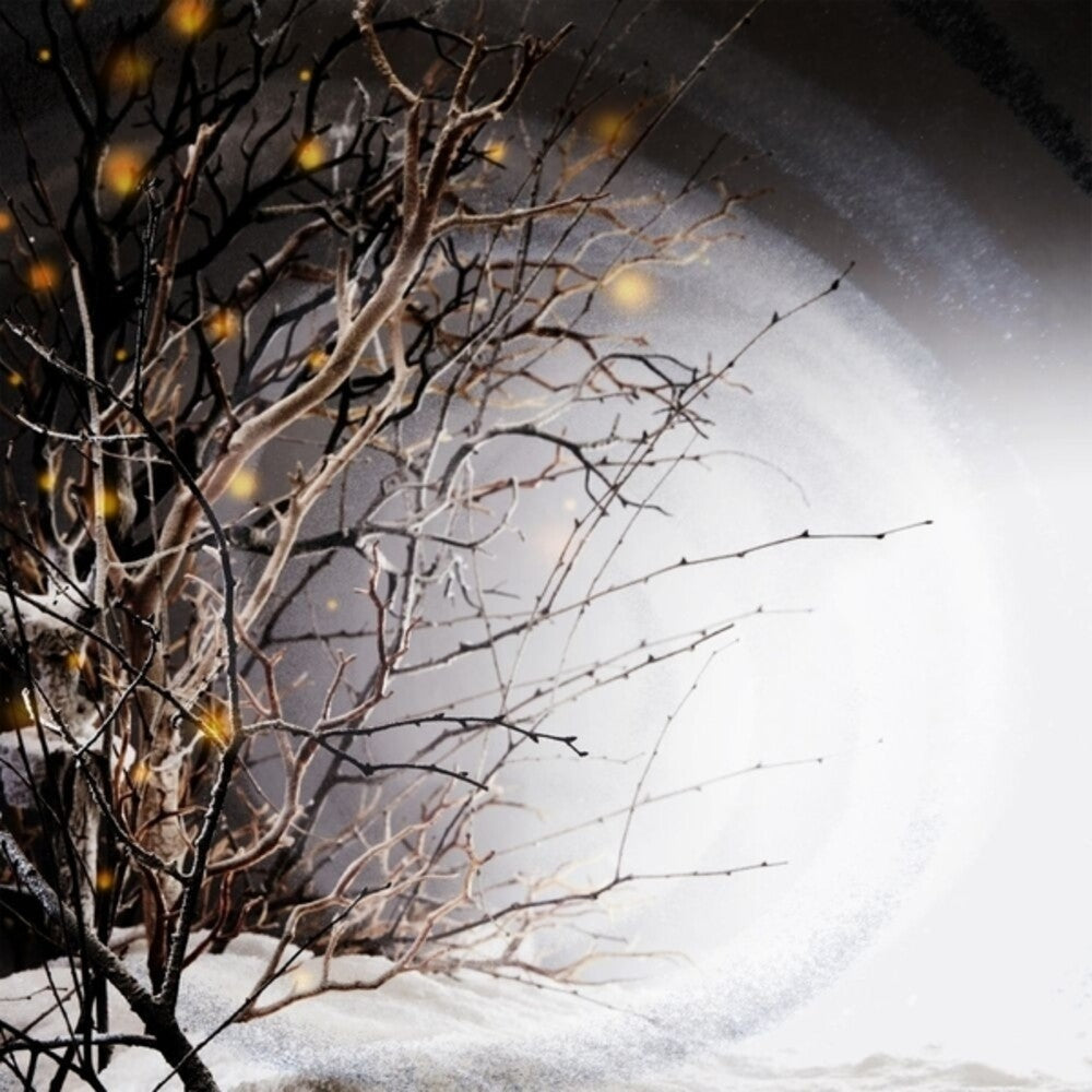 Winterlight - Winterlight [LP] Vinyl Record