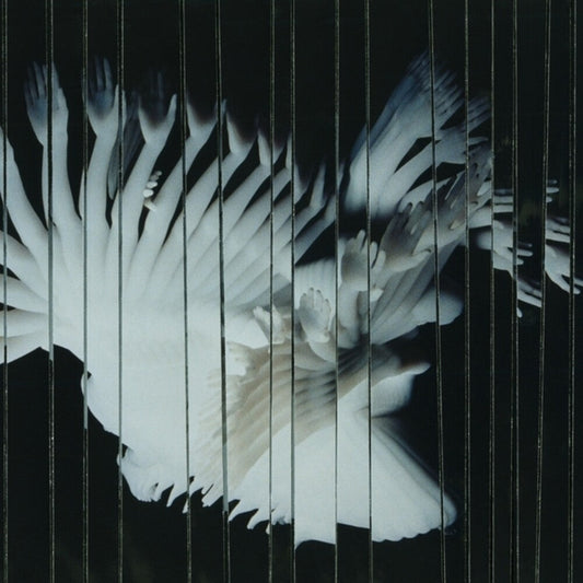 Scaler - Endlessly [LP] Vinyl Record