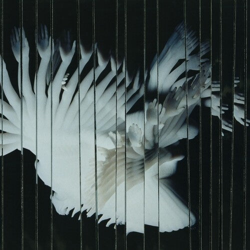 Scaler - Endlessly - Vinyl Record