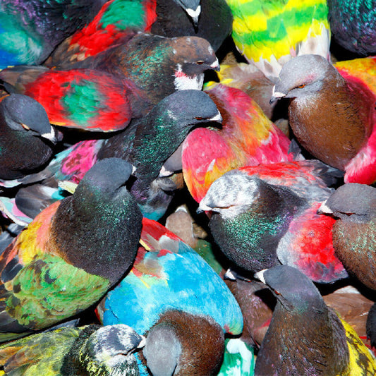 Blawan - Sickelixir [CD]