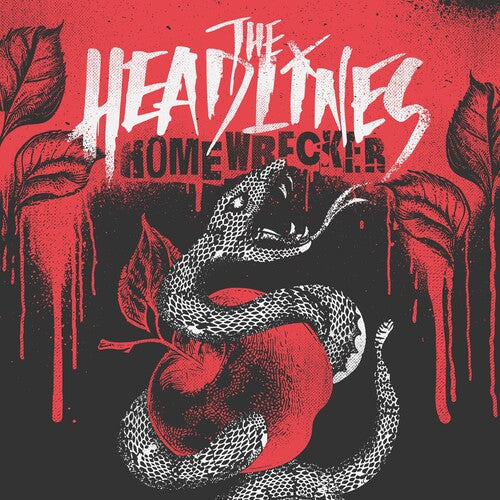 Headlines - Homewrecker - Black/white Marble Swirl - Vinyl Record
