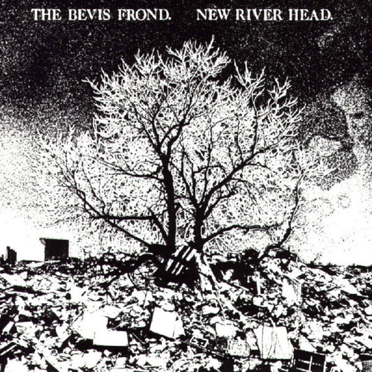 The Bevis Frond - New River Head (Gate) [Download Included] Vinyl Record