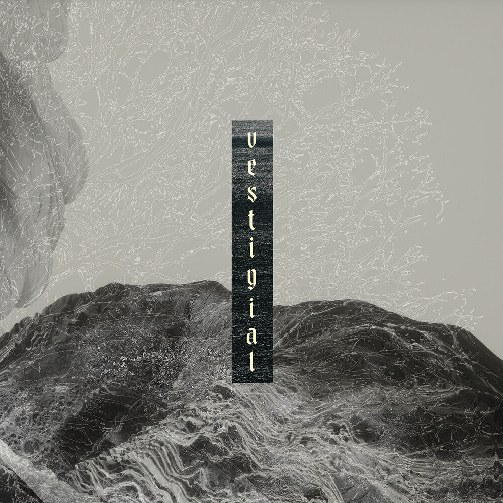 Vestigial - Descending Vastness [CD]