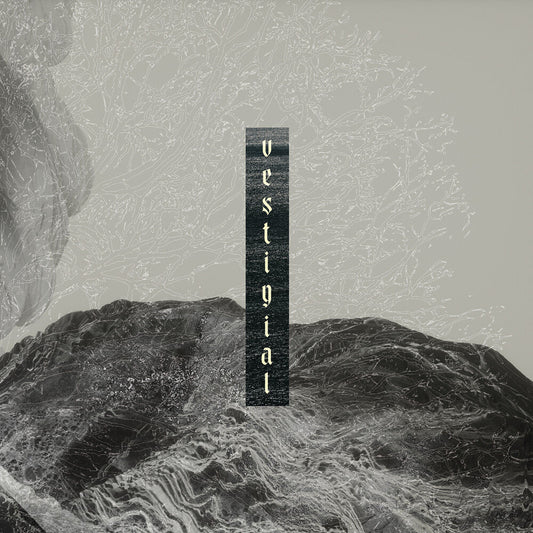 Vestigial - Descending Vastness [CD]
