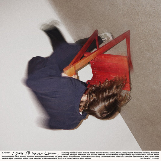 S Fidelity . - Guess I'll Never Learn [LP]